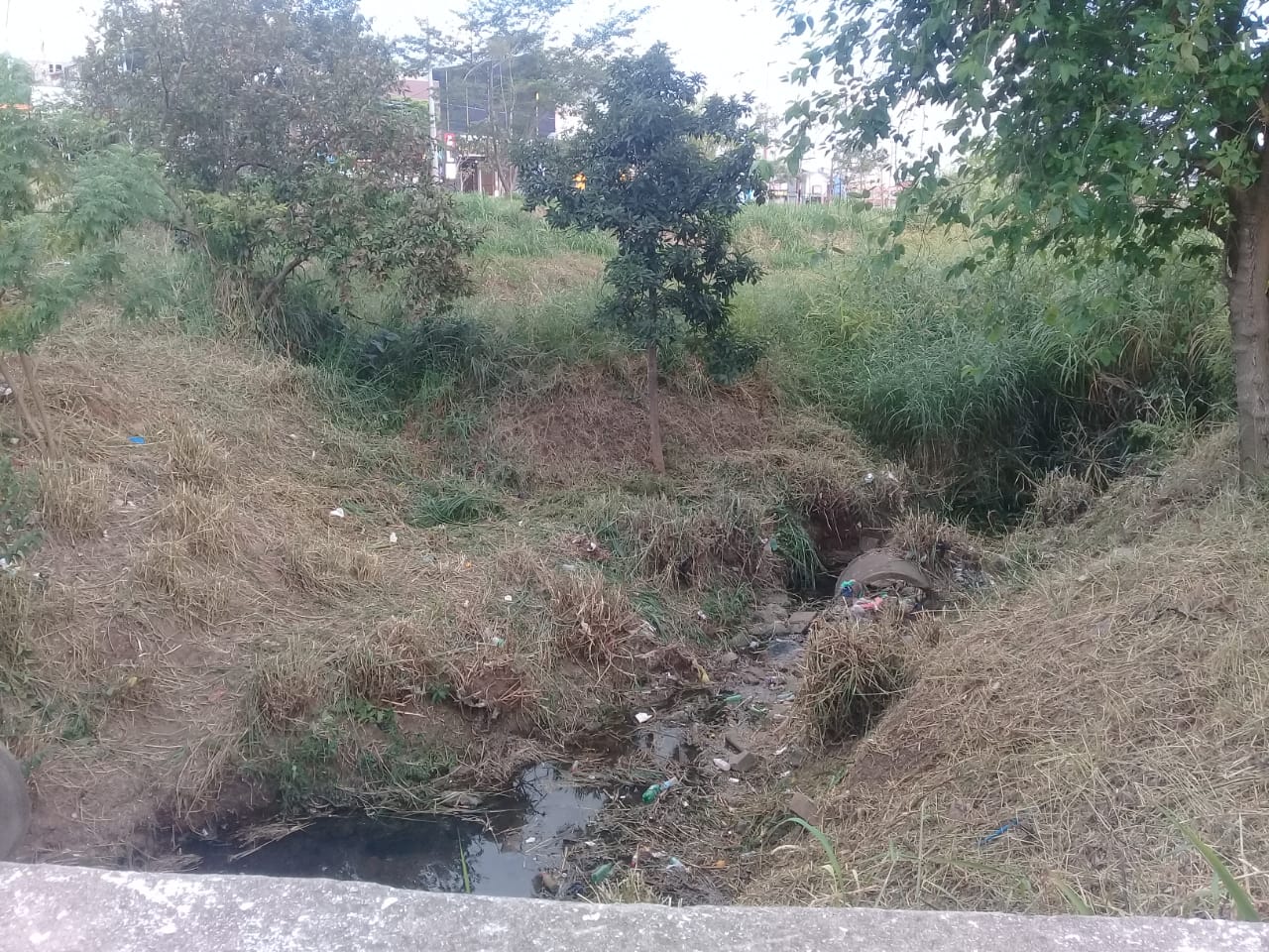 Córrego que passa pela rua Gastão de Almeida, Jardim Santa Adélia, está sendo limpo. Uma parte do capim já está cortado, nas duas margens.